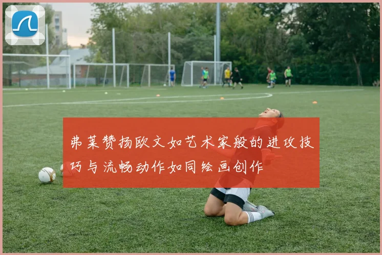 弗莱赞扬欧文如艺术家般的进攻技巧与流畅动作如同绘画创作