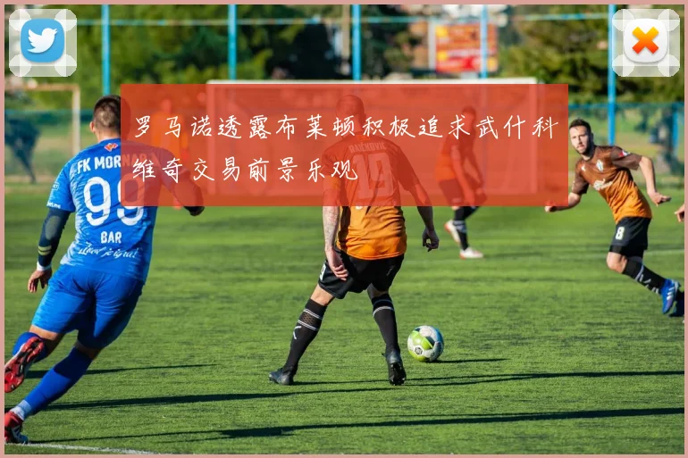 罗马诺透露布莱顿积极追求武什科维奇交易前景乐观